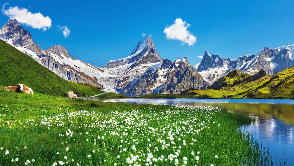 Swiss mountain landscape with lake